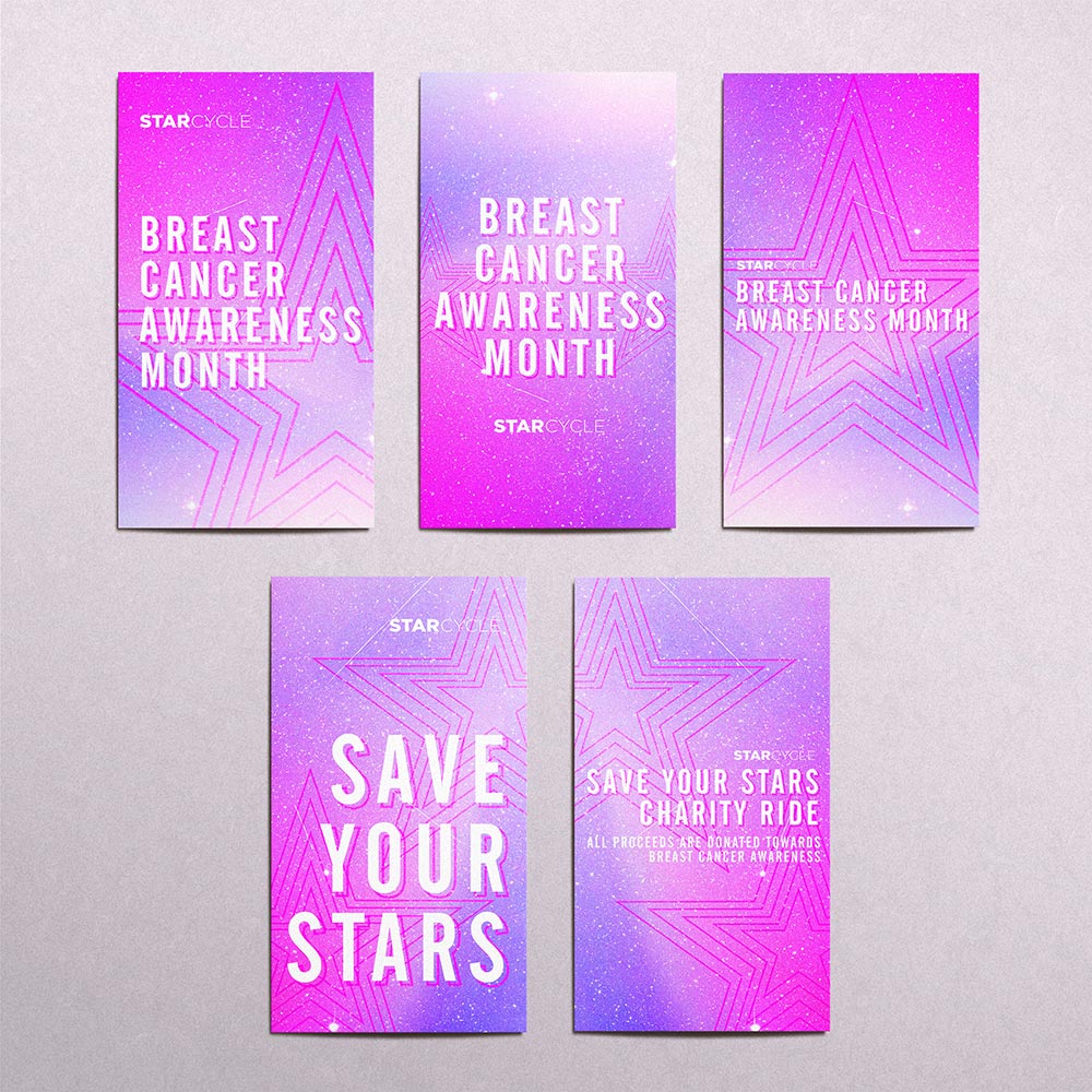 SC Breast Cancer Awareness Social Stories + Email Header